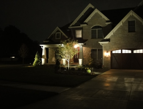 Munster 1 Landscape Lighting Project