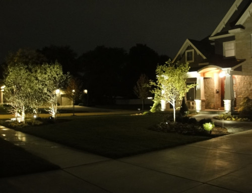 Munster 2 Landscape Lighting Project